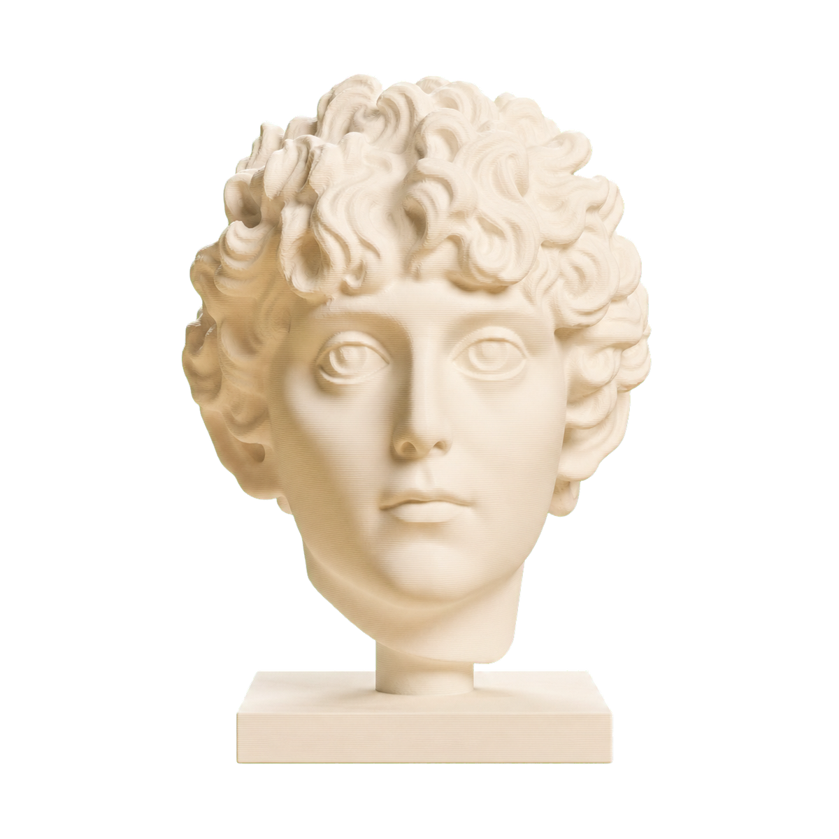 Head of a Roman Youth