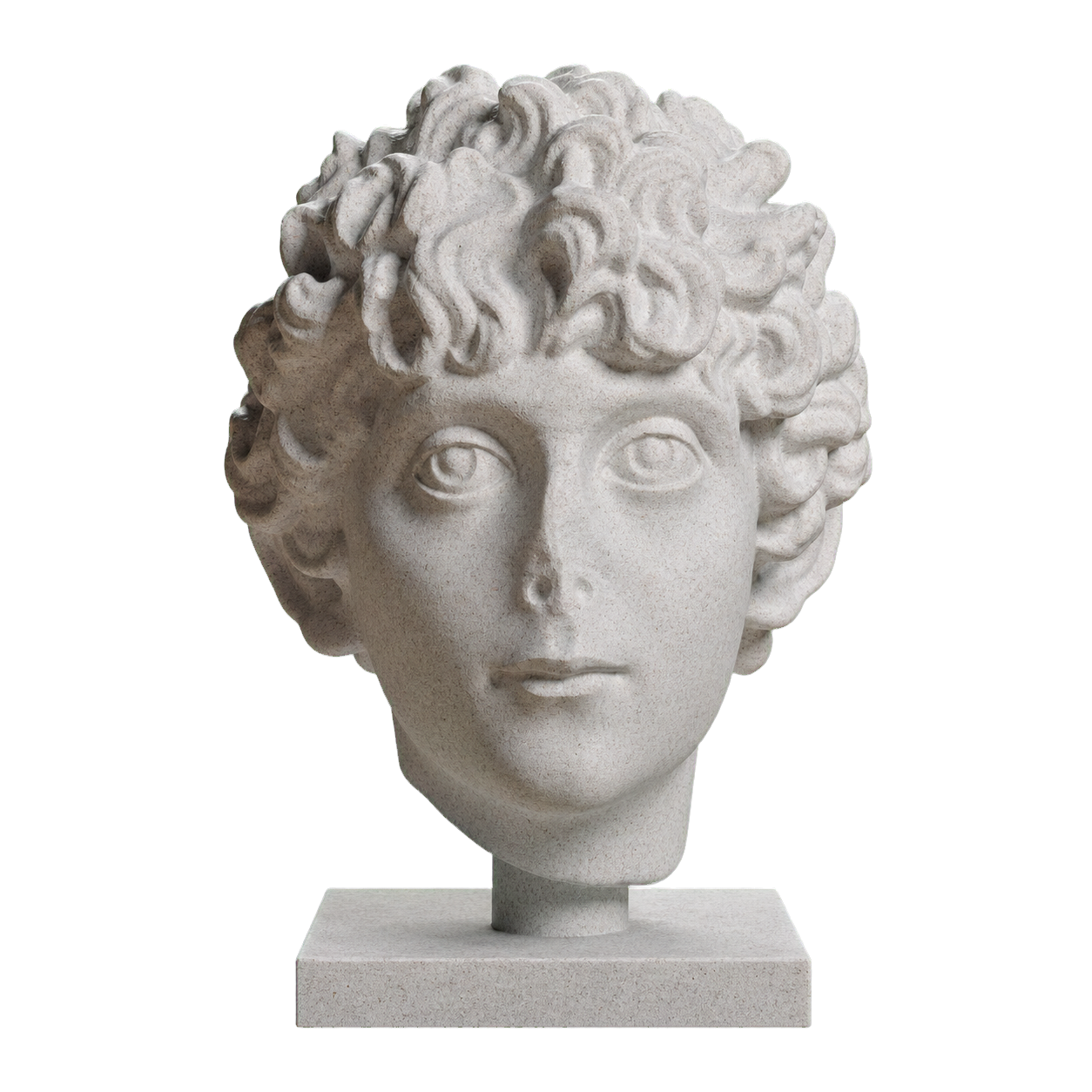Head of a Roman Youth