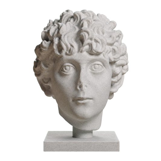Head of a Roman Youth