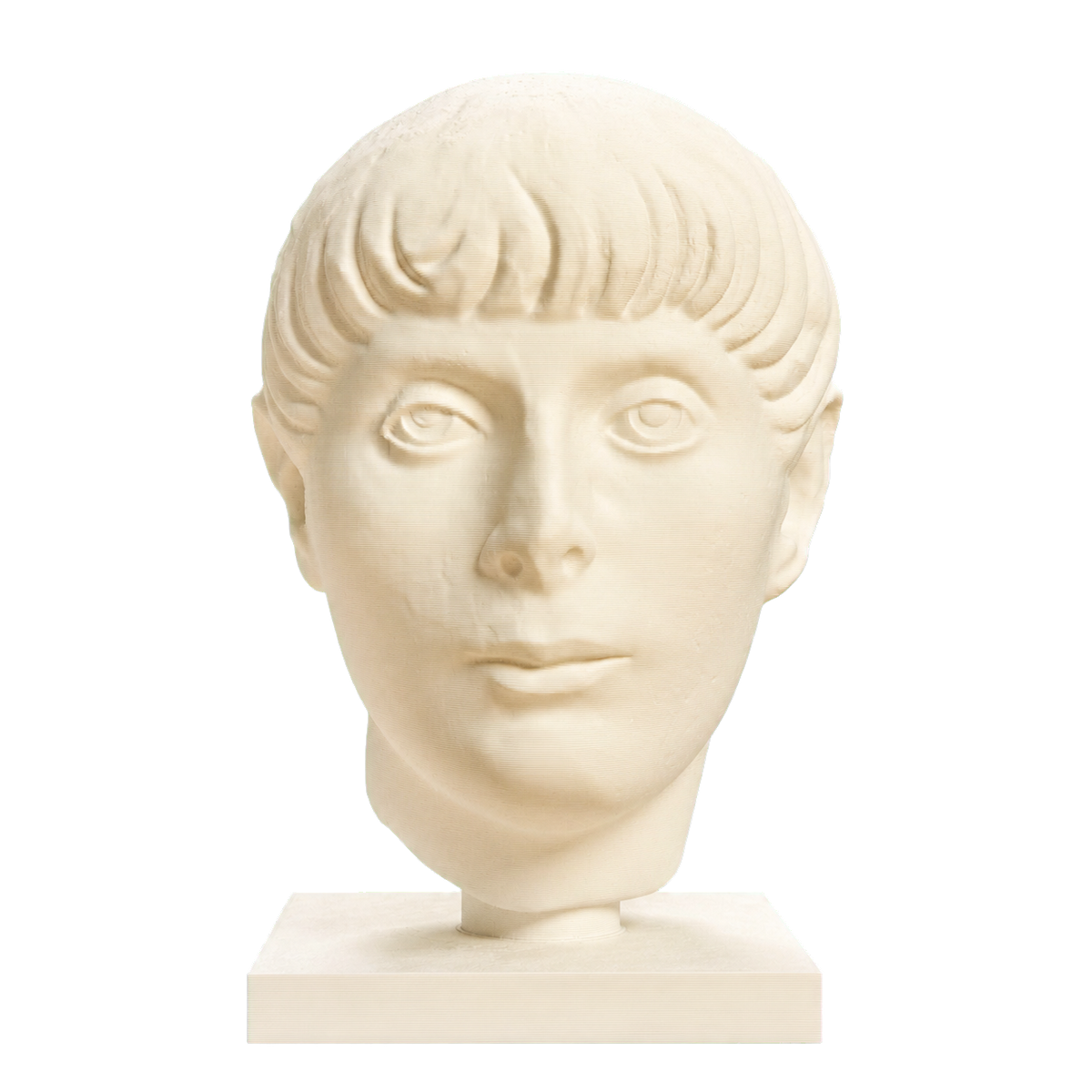 Head of a Young Man