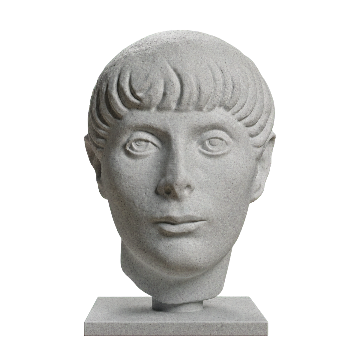 Head of a Young Man