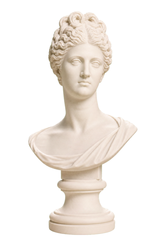 Portrait Bust of a Flavian Woman, The Fonseca Bust