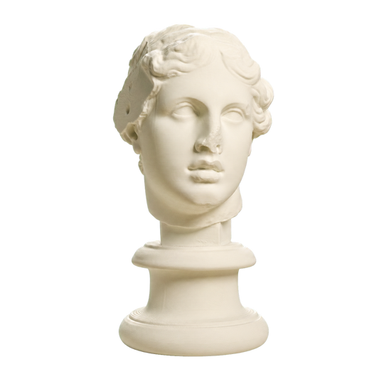 Portrait, 'The Beautiful Head'