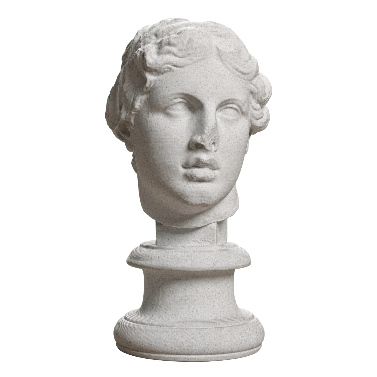 Portrait, 'The Beautiful Head'