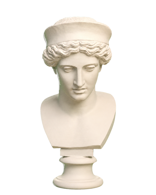 Head