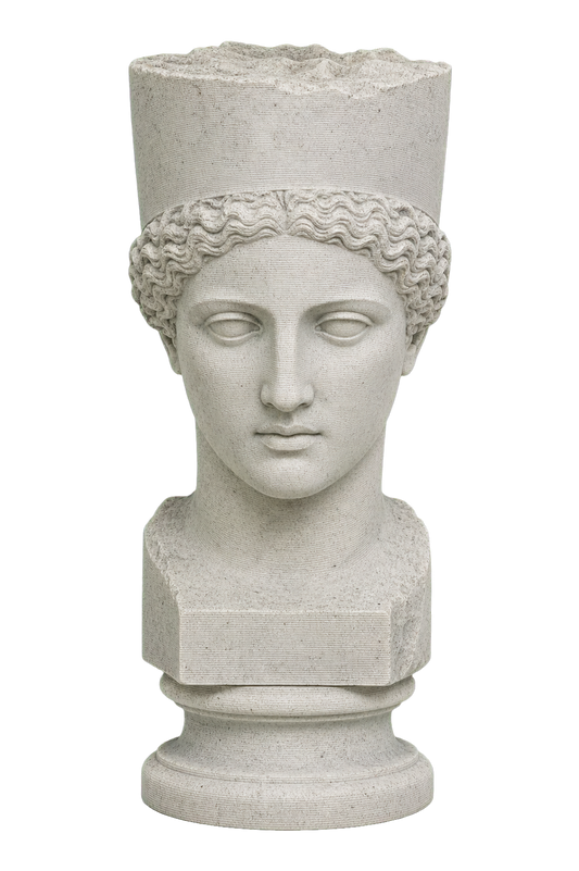 Head
