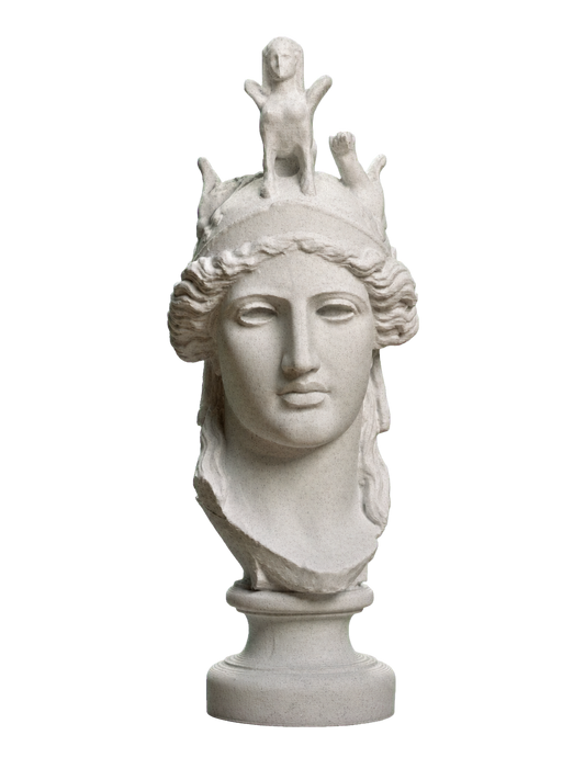 Head