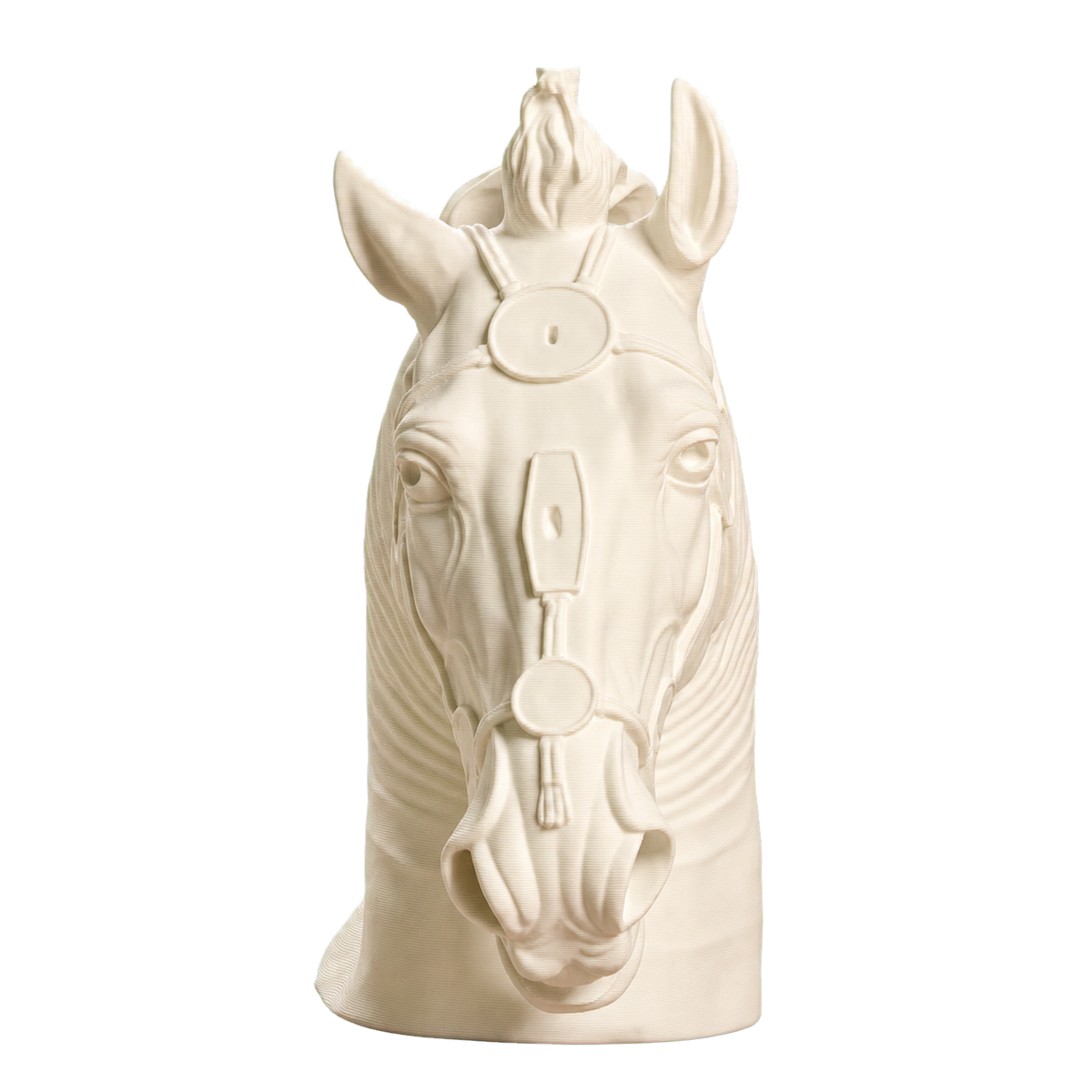 Horse Head