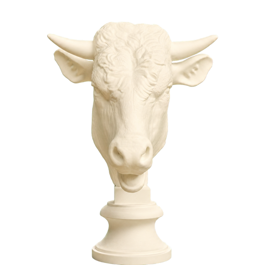 Head of a Bull