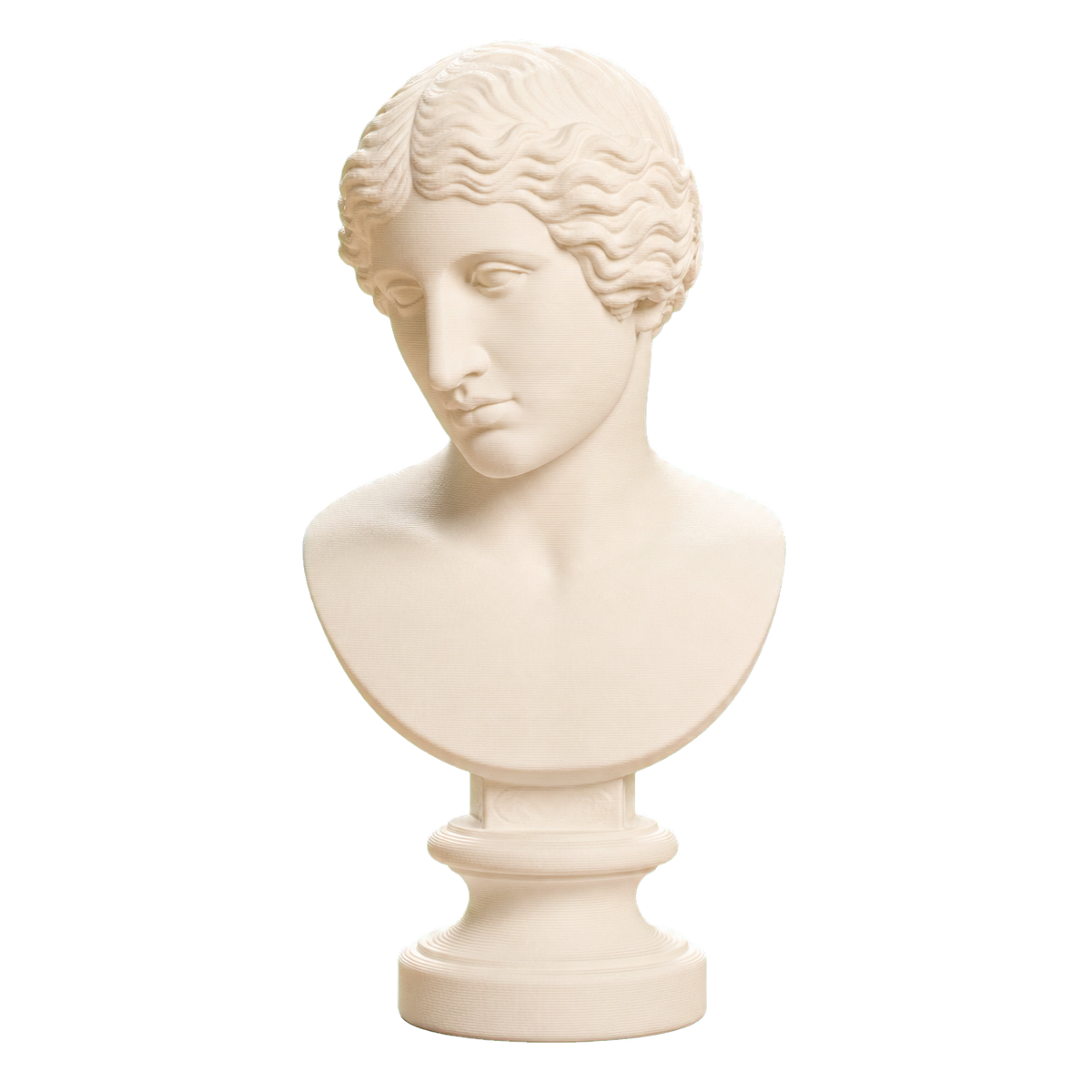 Head