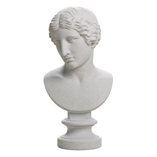 Head