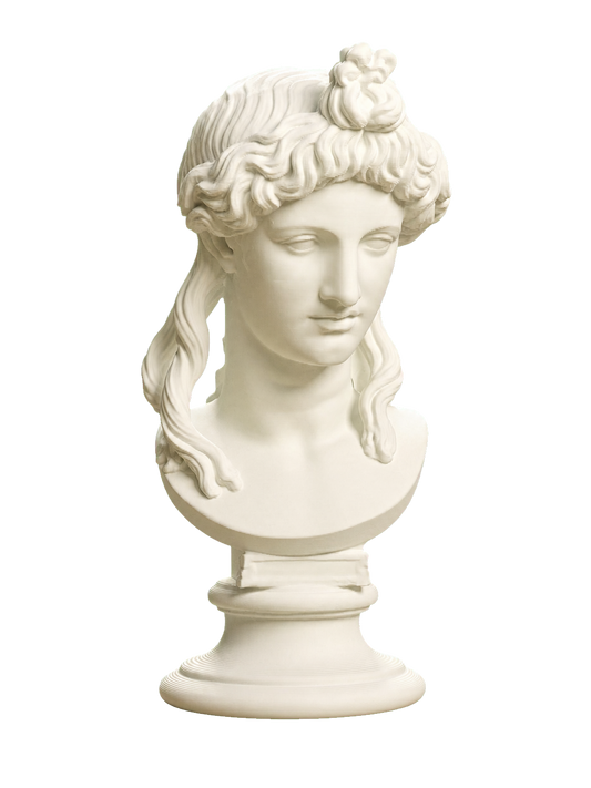 Head of a Woman or Apollo