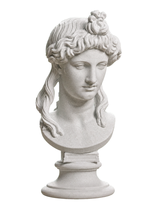 Head of a Woman or Apollo