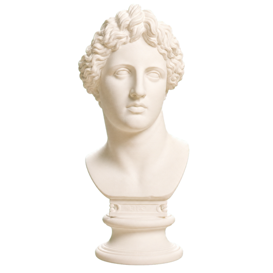Bust of the Apollo Lykeios