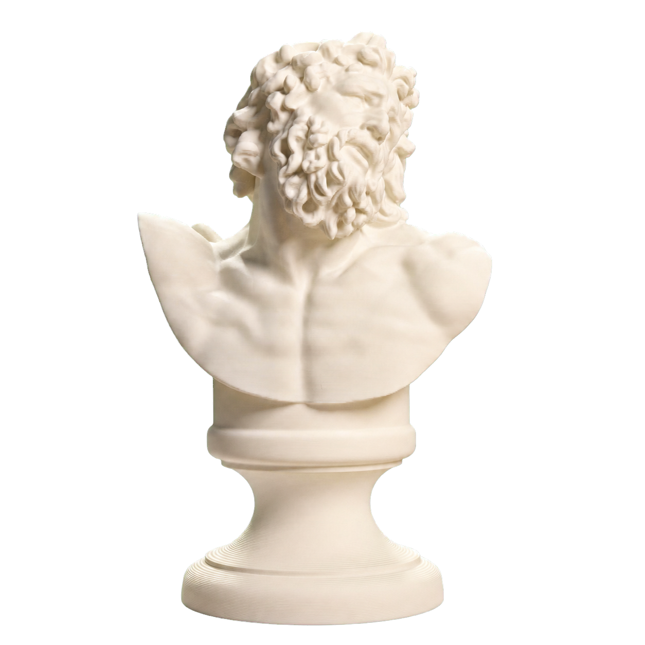 Bust of Laocoon