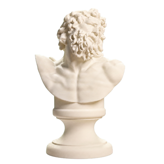 Bust of Laocoon