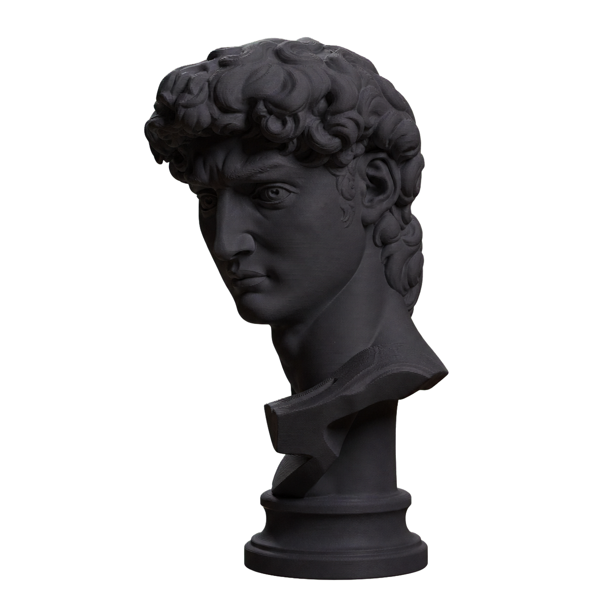 Head of Michelangelo's David