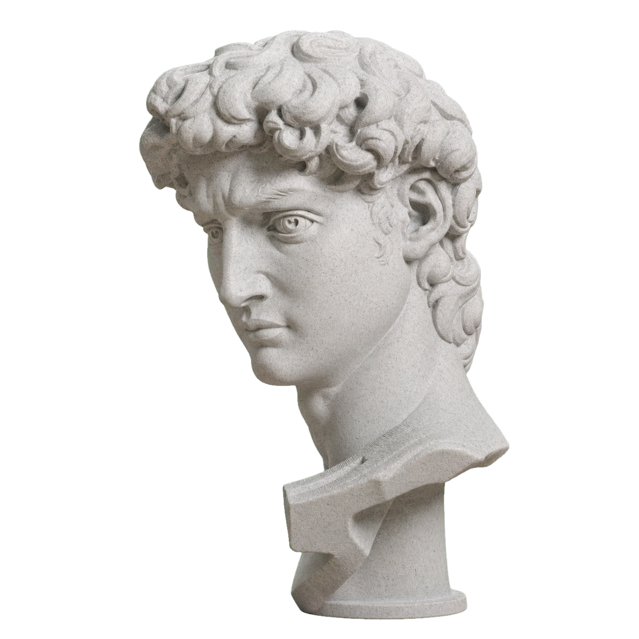 Head of Michelangelo's David