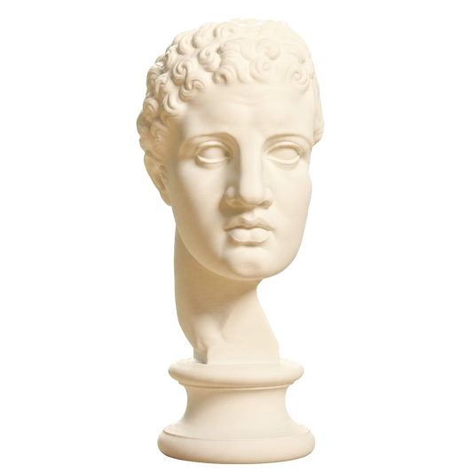 Fragmentary head of Hercules (from the Lansdowne Herakles)