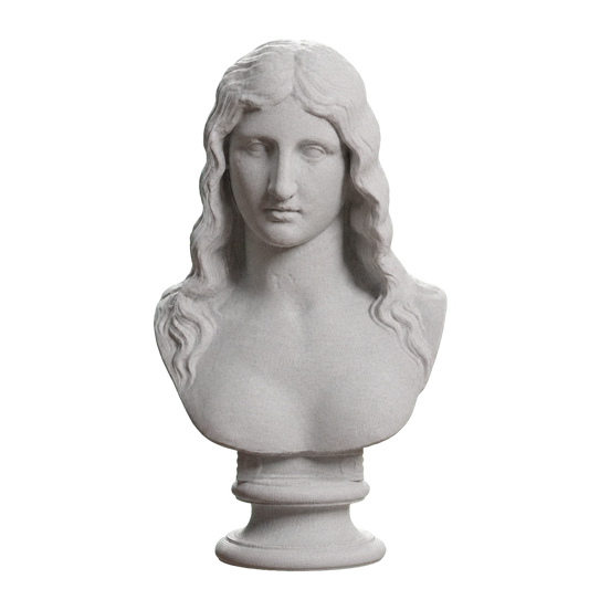 Bust of a Barbarian Woman