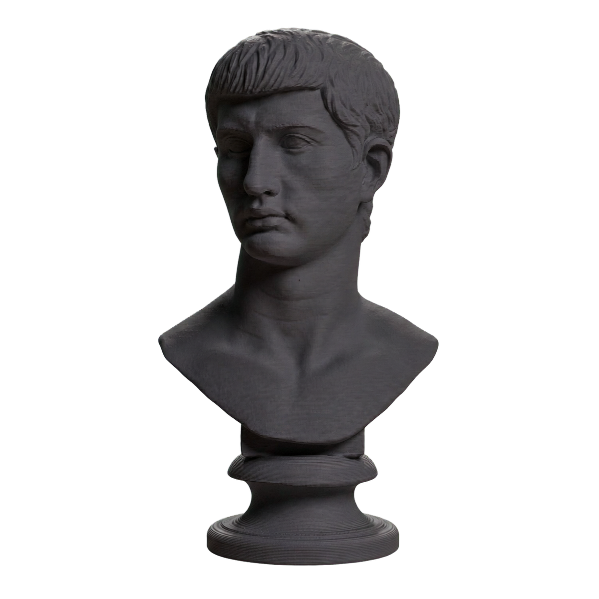 Portrait of an Augustine Prince Marcellus (?)