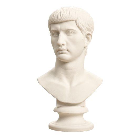 Portrait of an Augustine Prince Marcellus (?)