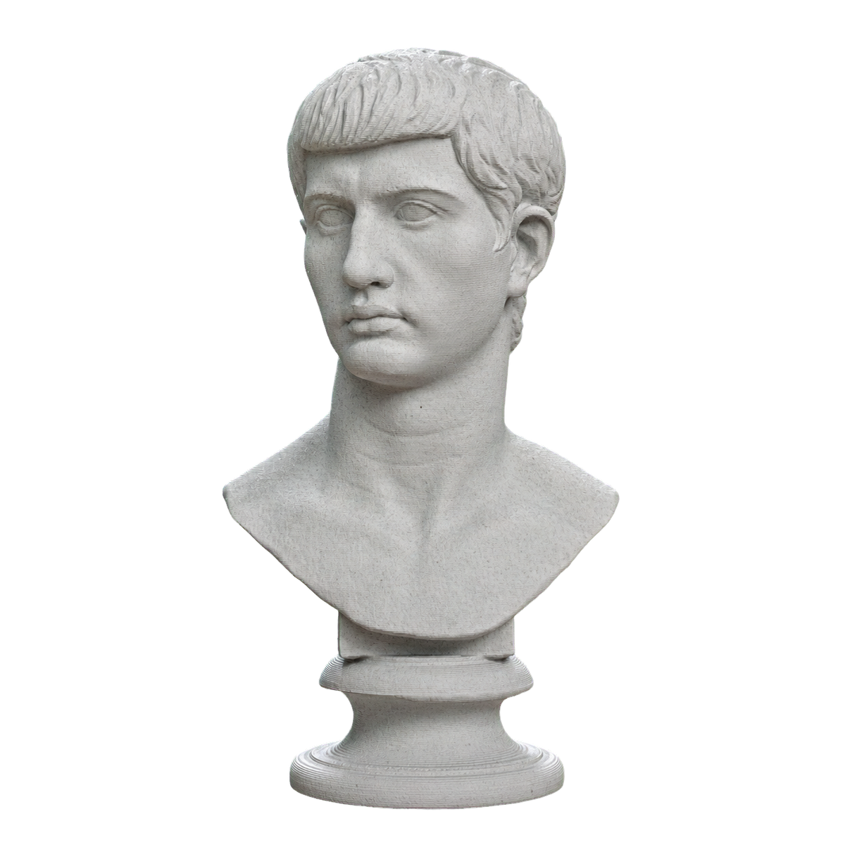 Portrait of an Augustine Prince Marcellus (?)