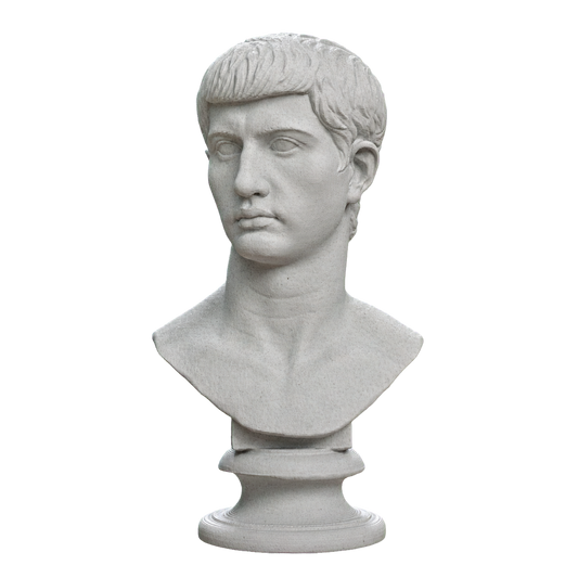 Portrait of an Augustine Prince Marcellus (?)