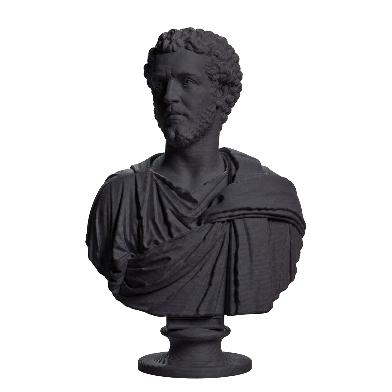 Portrait of a Man (Septimius Severus?)