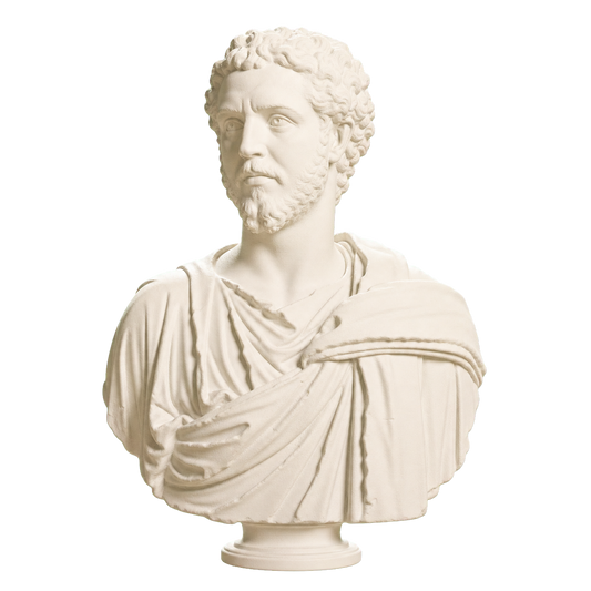 Portrait of a Man (Septimius Severus?)