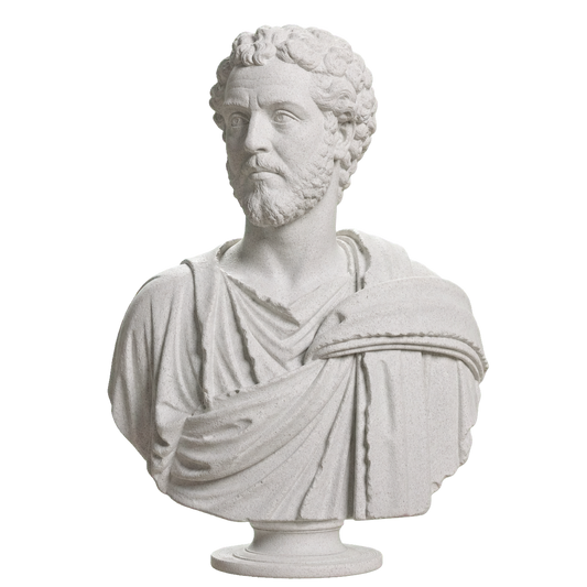 Portrait of a Man (Septimius Severus?)