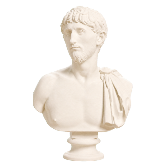Portrait of a man with an army cape