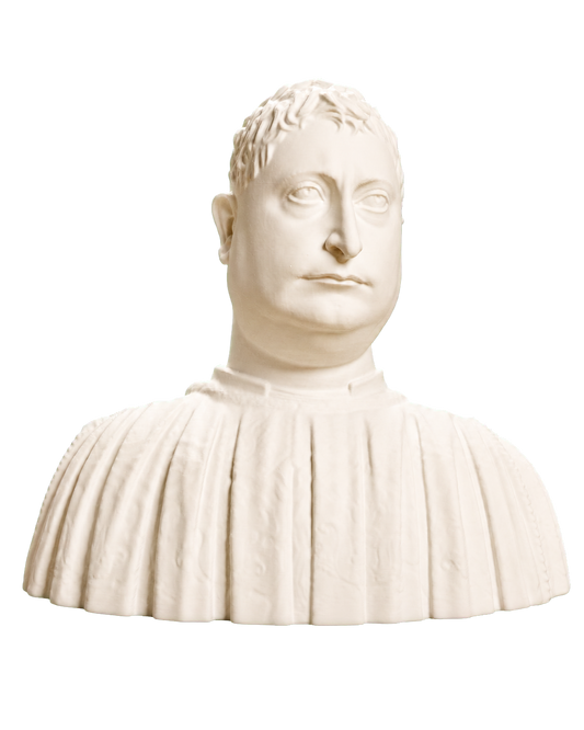 Portrait of Niccolo Strozzi