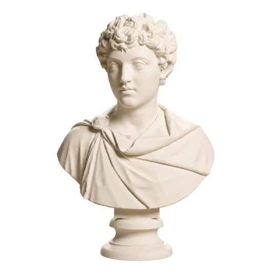 Portrait of Marcus Aurelius as a young man