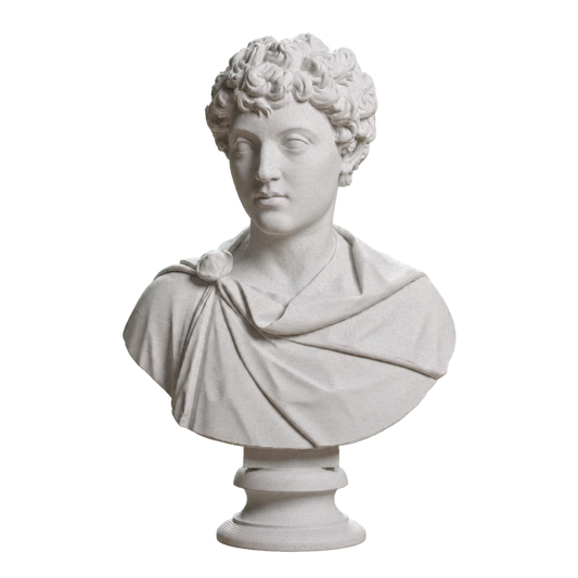 Portrait of Marcus Aurelius as a young man