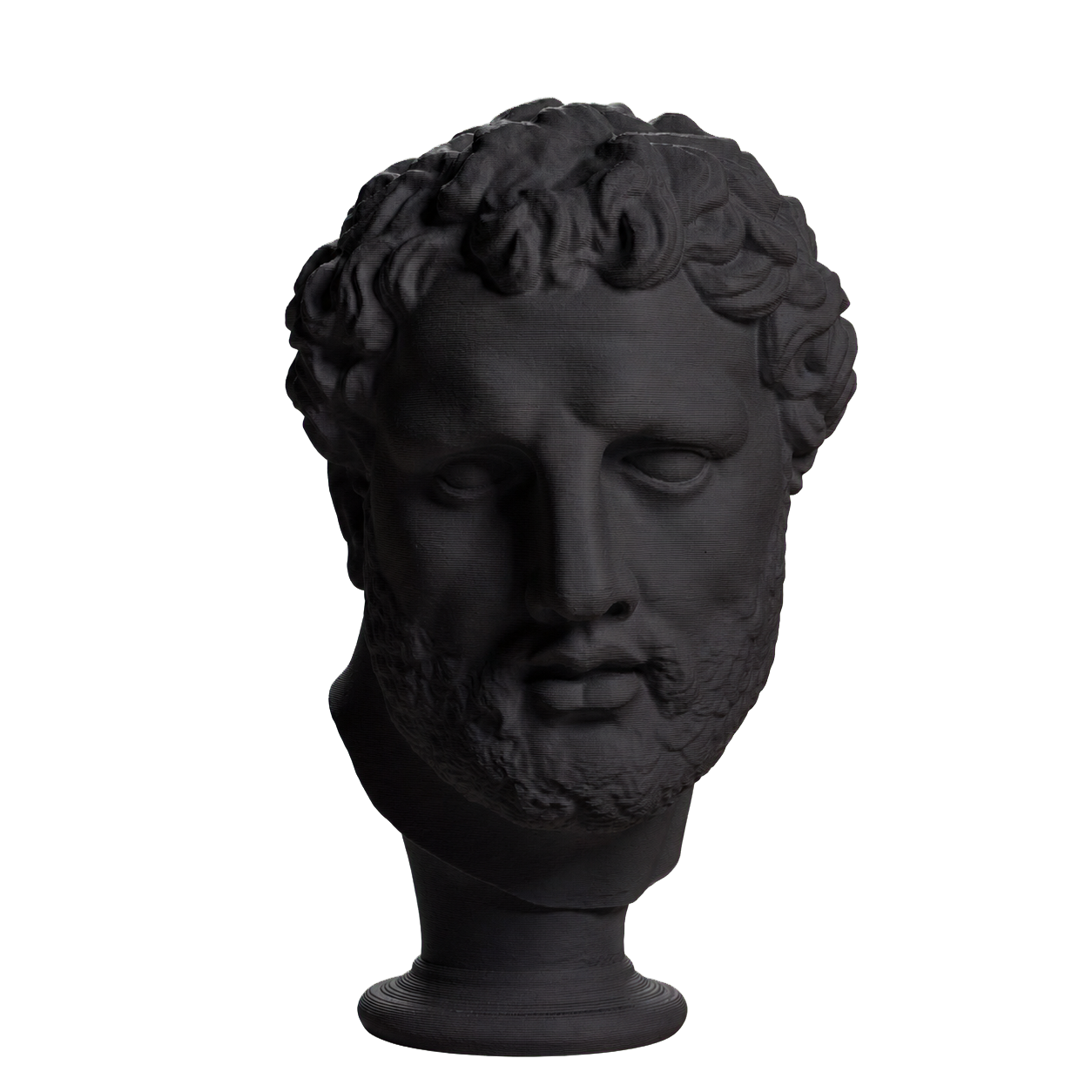 Head