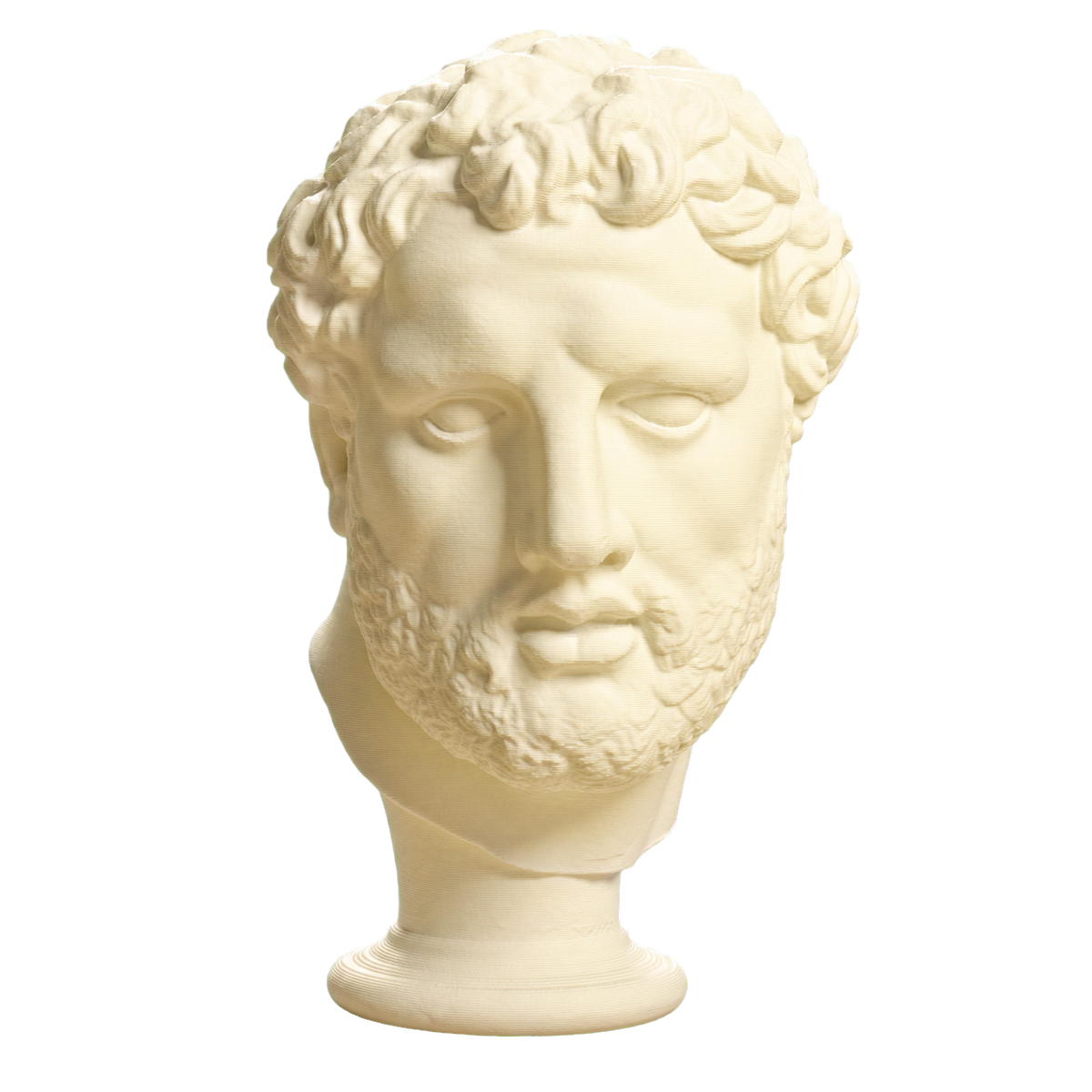 Head
