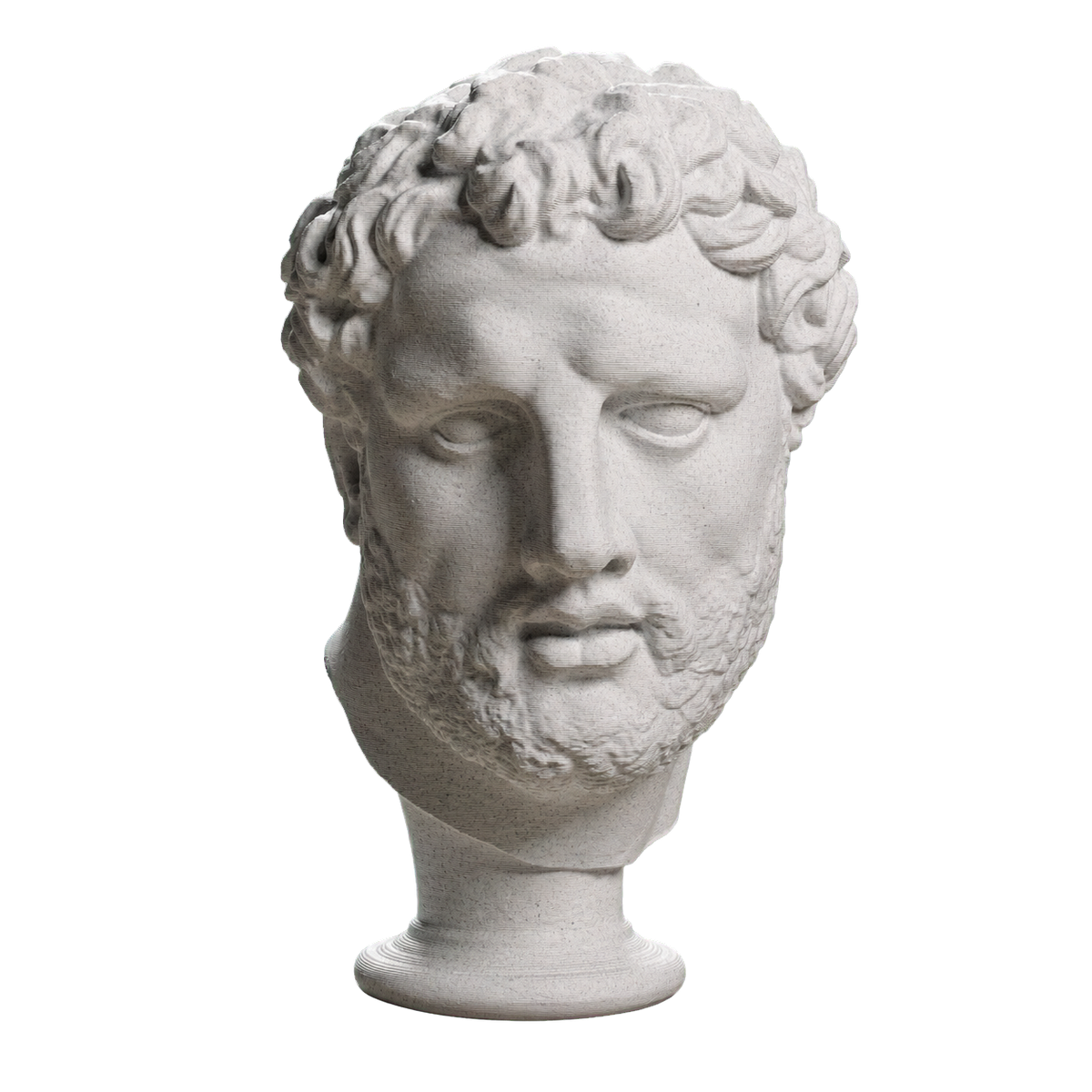Head