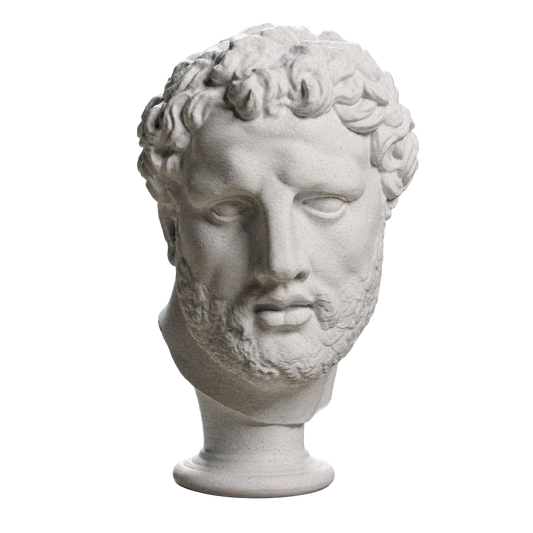 Head