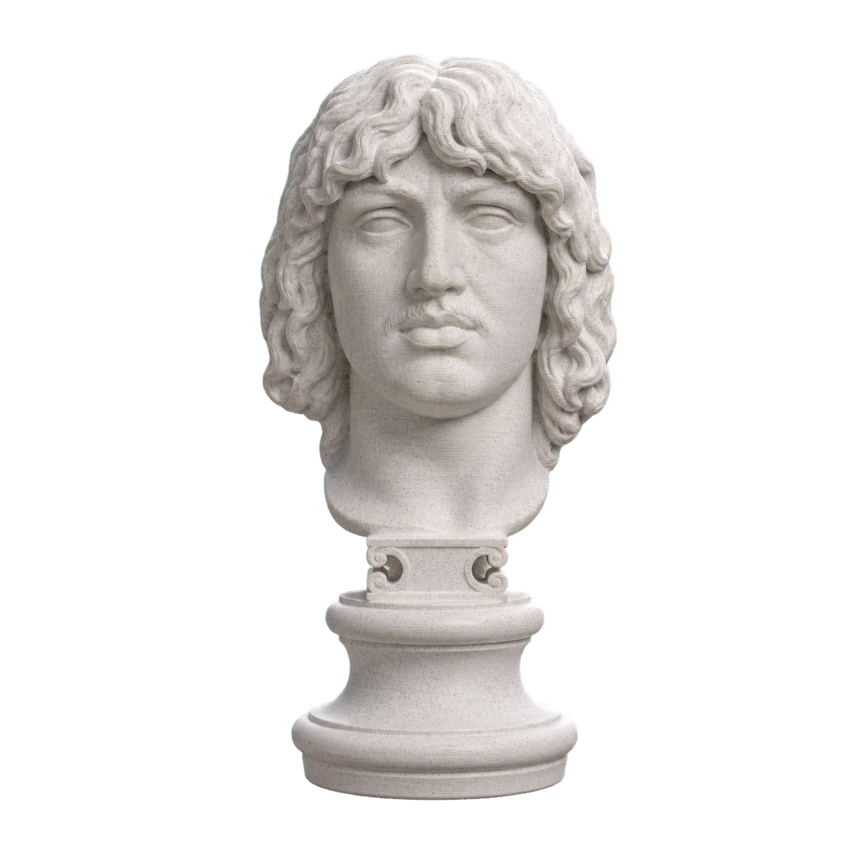 Head of a Barbarian Chief