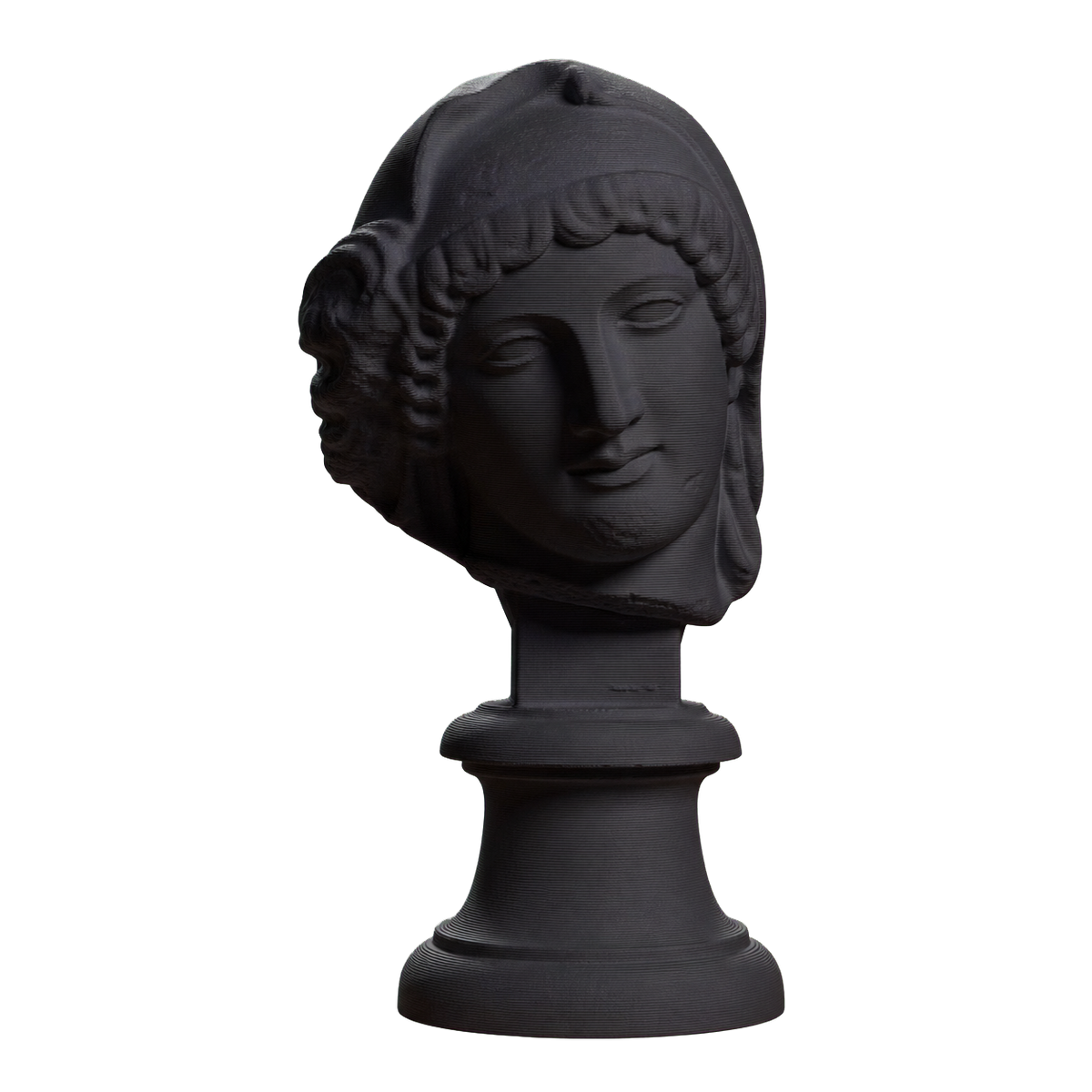 Head of the Mourning Penelope