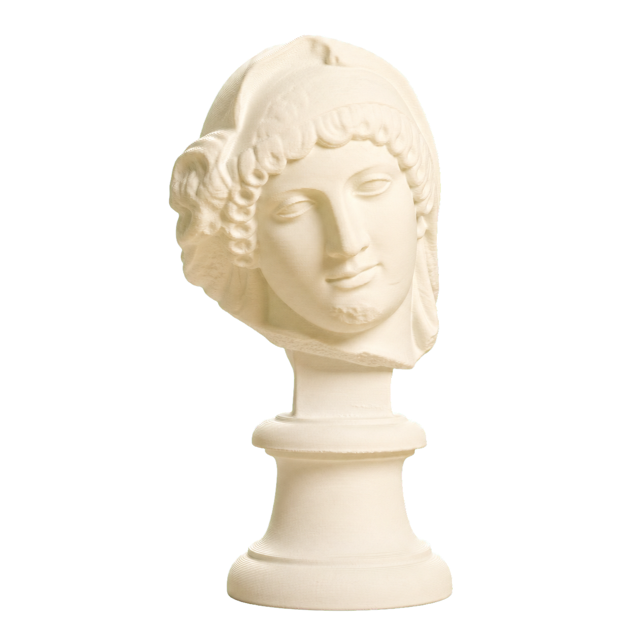 Head of the Mourning Penelope