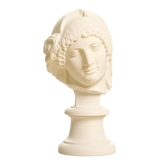 Head of the Mourning Penelope