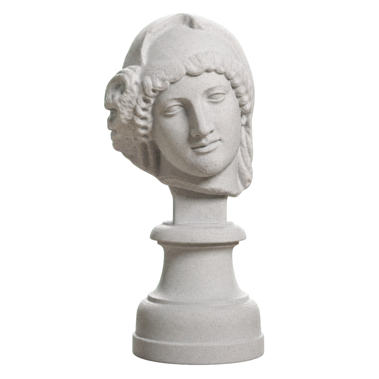 Head of the Mourning Penelope