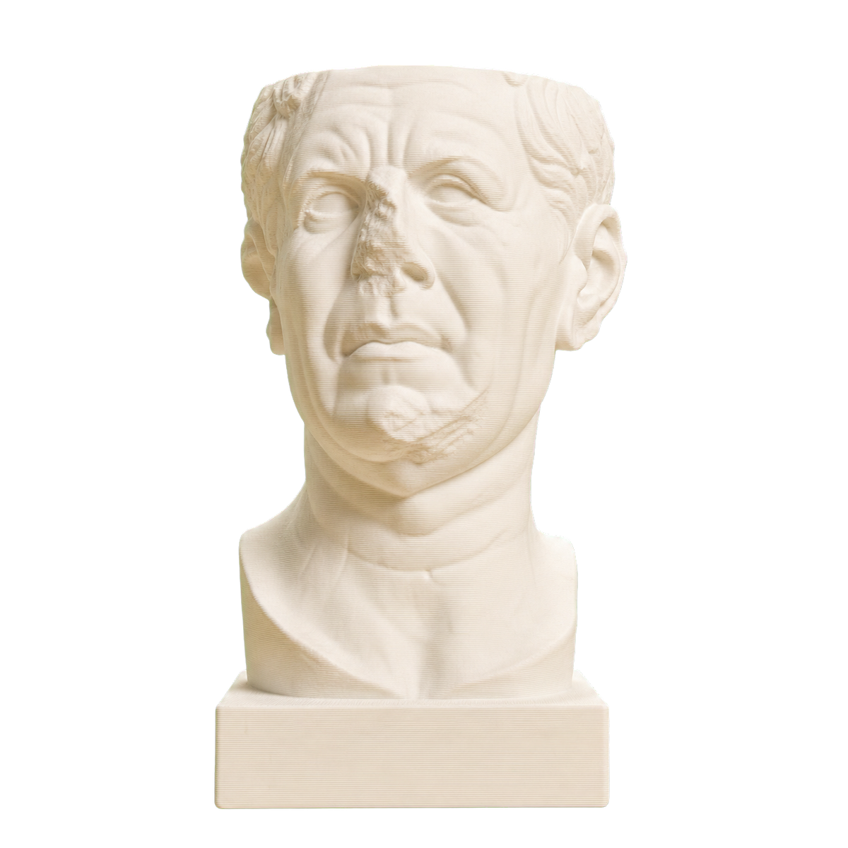 Portrait of a Roman the so-called 'Tivoli General'