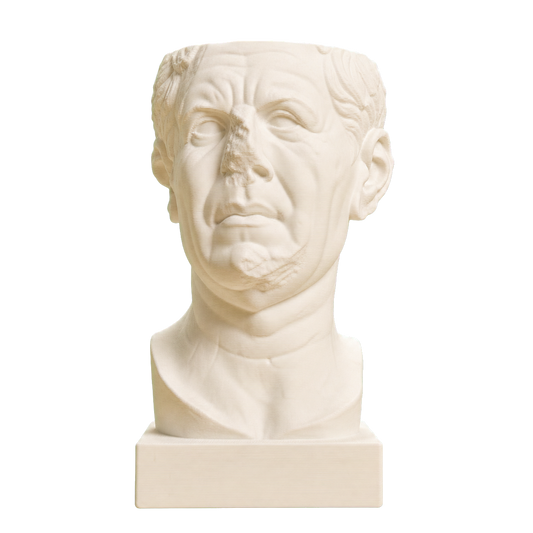 Portrait of a Roman the so-called 'Tivoli General'