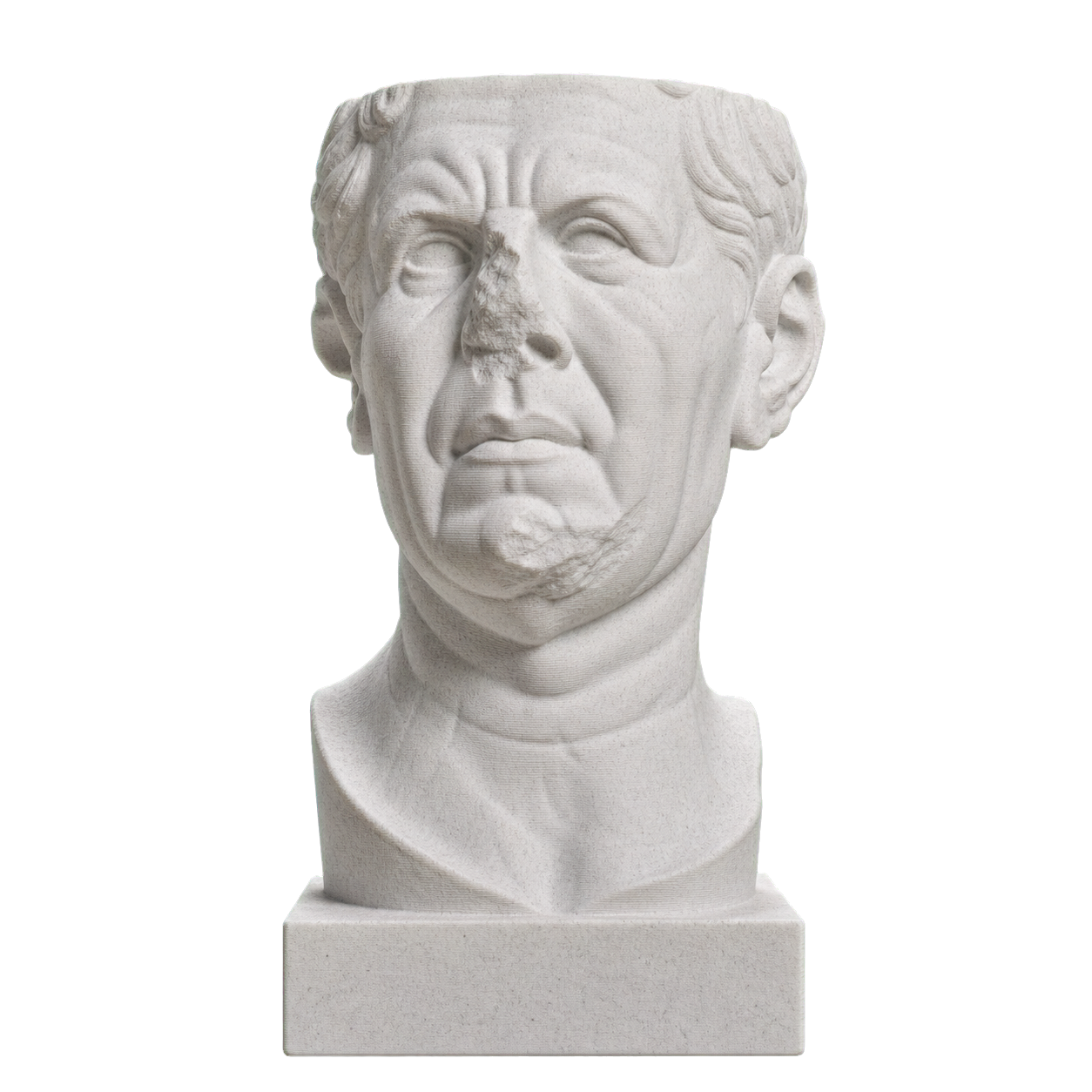 Portrait of a Roman the so-called 'Tivoli General'