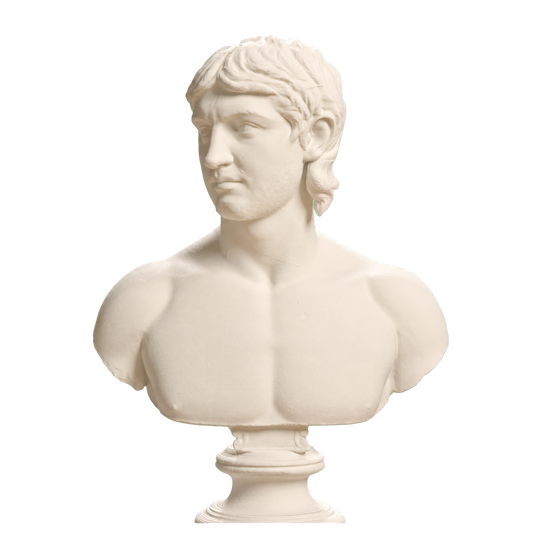 Young Barbarian Portrait, SMK KAS1200