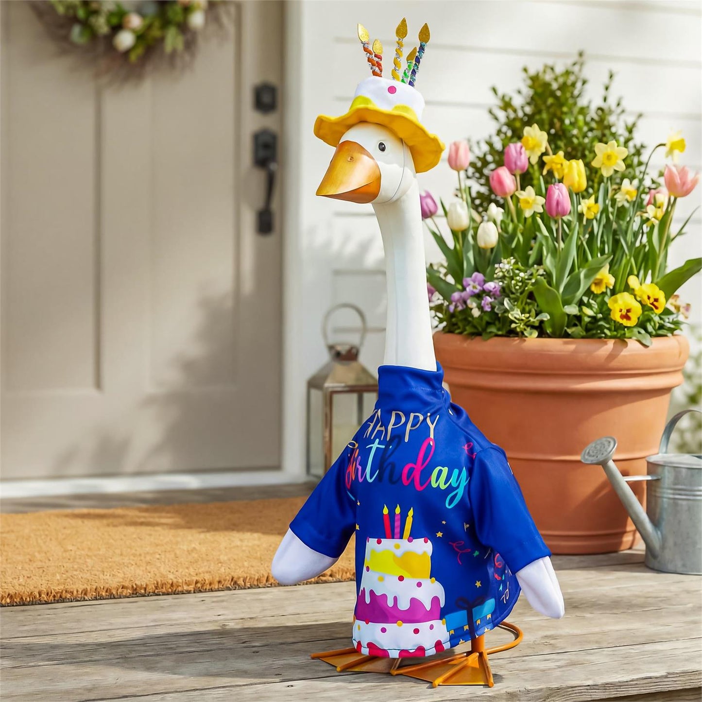 Birthday Celebration Porch Goose Outfit