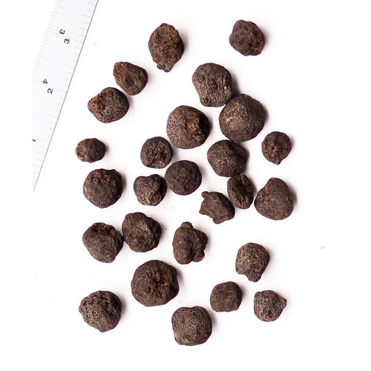 Blue Shades Anemone blanda - 25 bulbs